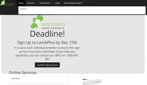 The same Sheep Ireland homepage in an older version of Internet Explorer. (IE7)