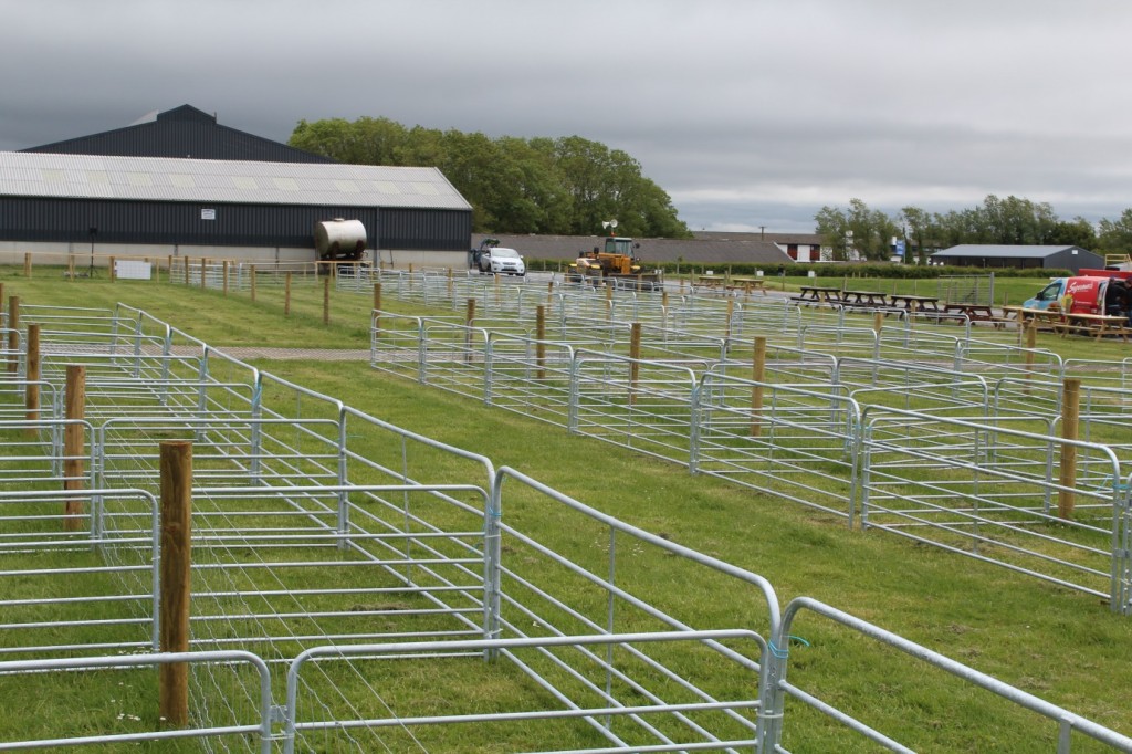 Sheep15pens_19072015