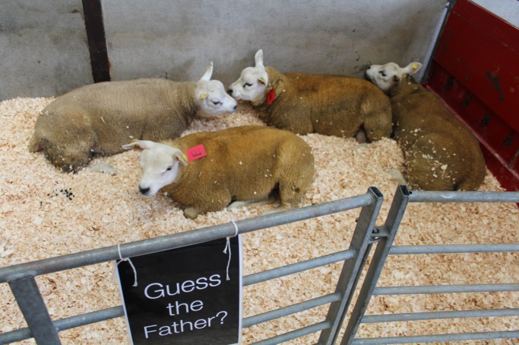 Whosurdaddy_19072015