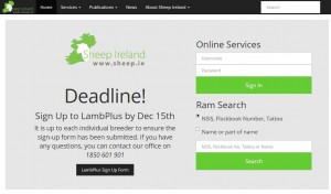 Sheep Ireland homepage in the most current version (11) of Internet Explorer.