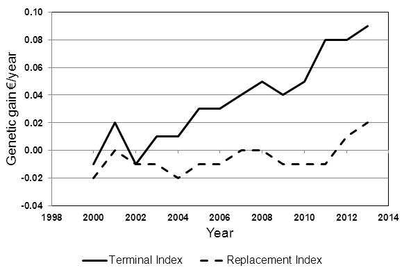 You are currently viewing Sheep Breeding in Ireland – The next five years