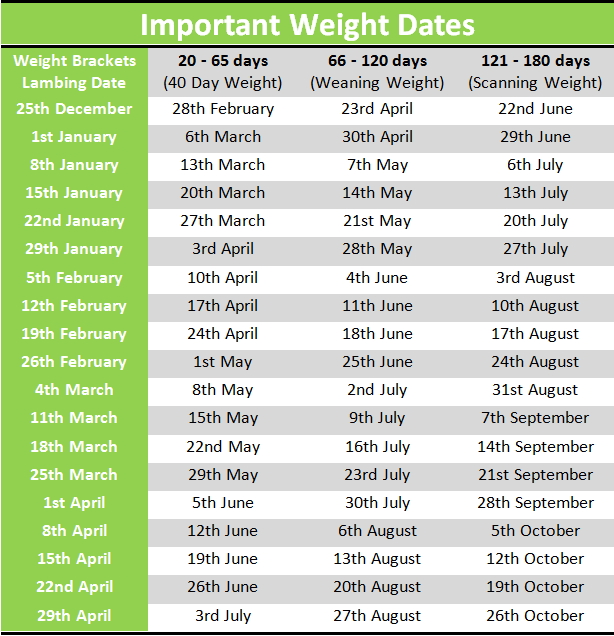 Important Weight dates