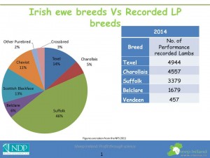 National flock breakdown by breed