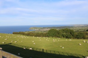 Tweed2