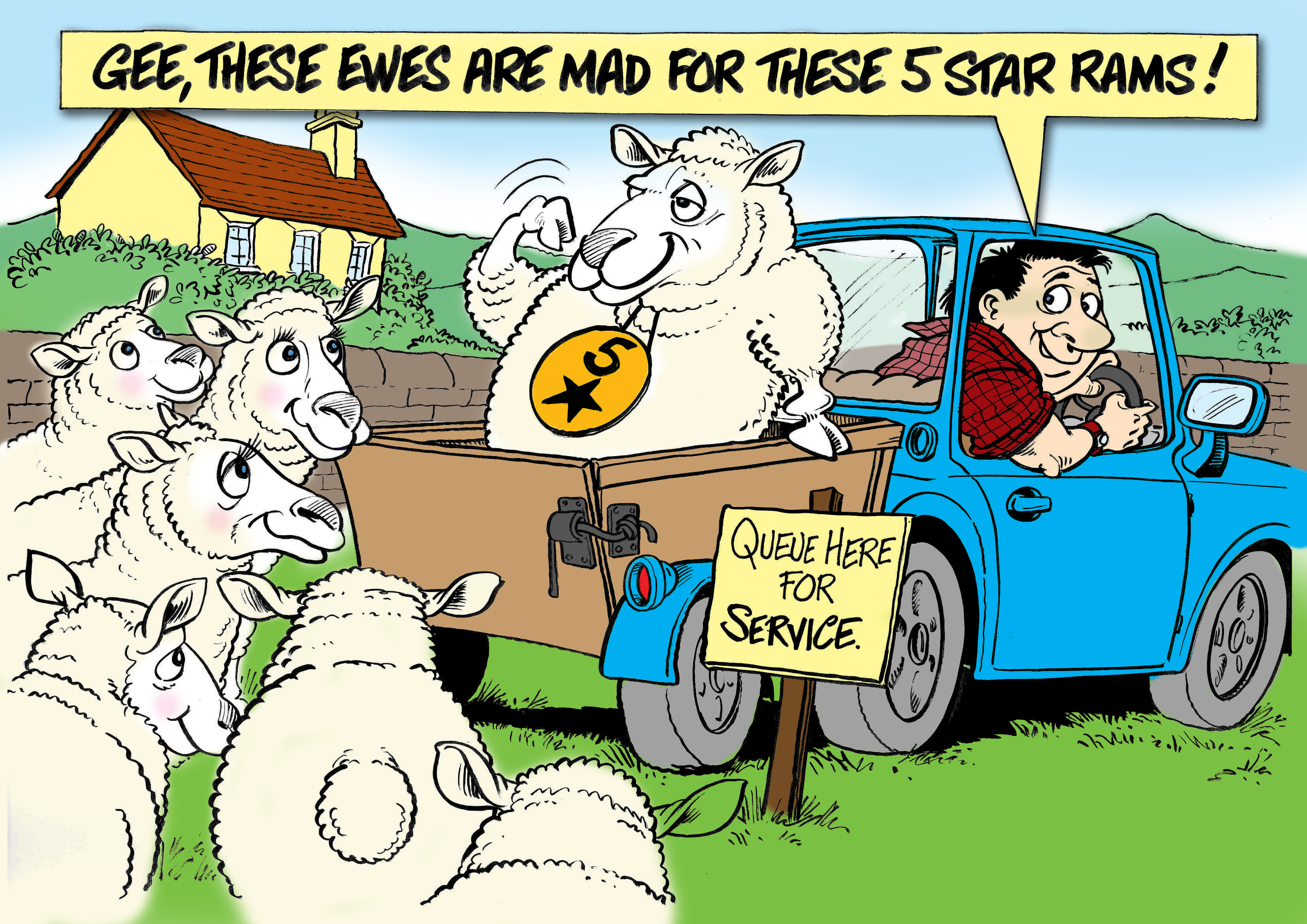 Read more about the article Still time to find and purchase the best rams !
