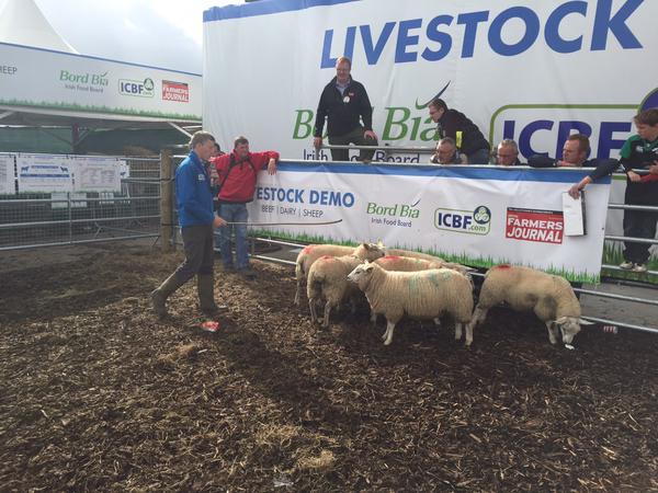 You are currently viewing National Ploughing Championships 2016