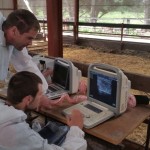 New Ultrasound Scanning Machines to Capture Lamb Muscle and Backfat Depth