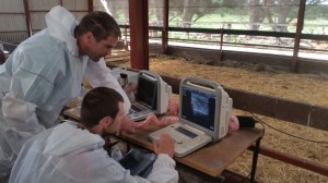 Sheep Ireland Technicians Michael O' Neil (Mayo) and James Kelly (Kildare) getting trained on the new Ultrasound machines