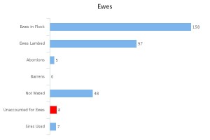 Ewes
