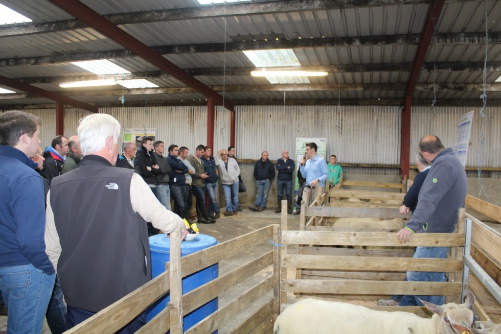 Kevin McDermott (Sheep Ireland) addressing ram breeders on the farm of James McKane in Donegal.