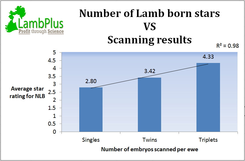 Here the average Number of Lambs Born Star rating is show for ewes that scanned with singles, twins and triplets respectively.