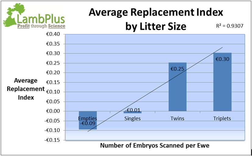 The Replacement Index has very accurately predicted the ewes performance at scanning, with empty ewes having an average index of €-0.34 and the triplet bearing ewes having an average index of €0.35