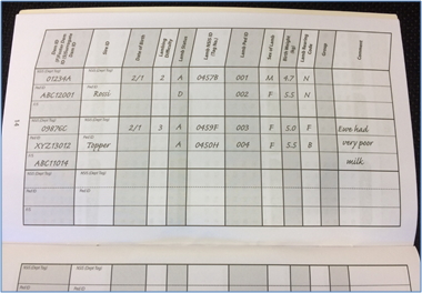 The LambPlus Lambing notebook which is available to all LambPlus members, a very useful tool to keep track of your flocks performance information.