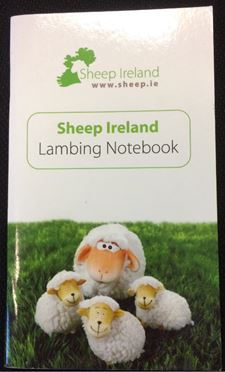 lambing-notebook