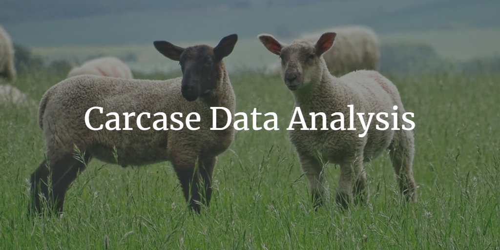 Read more about the article Carcass Data Analysis