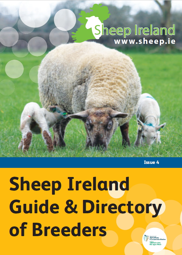 You are currently viewing Sheep Ireland Guide and Directory of Breeders: Issue 4