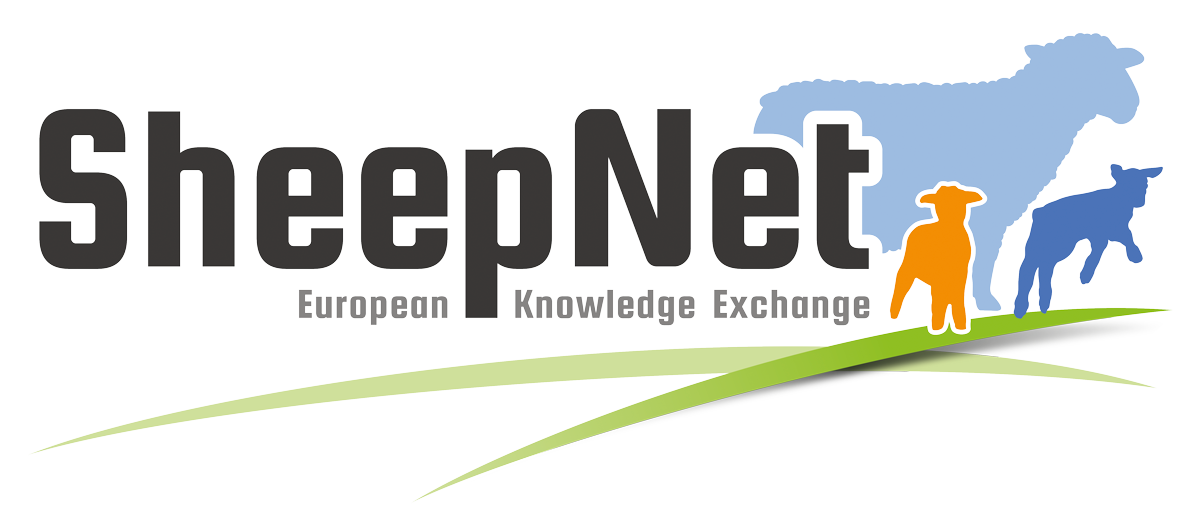 You are currently viewing SheepNet National Workshop