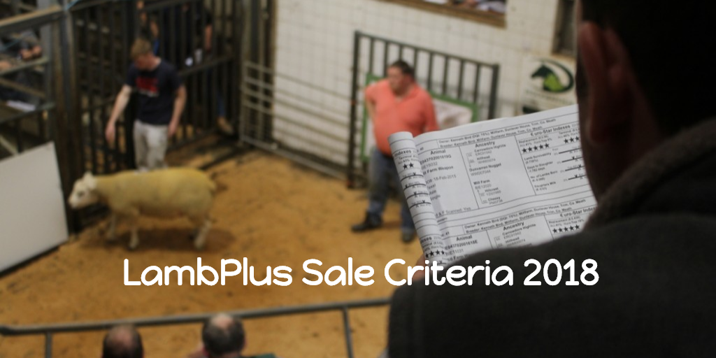 Read more about the article Entries for LambPlus Sale 2018