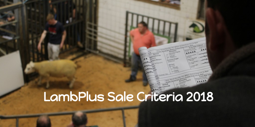 LambPlus Ram Sale Criteria 2018