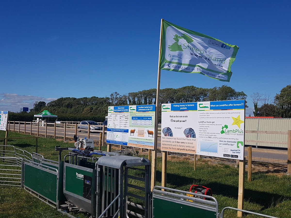 Read more about the article Great day was had at Sheep 2018!