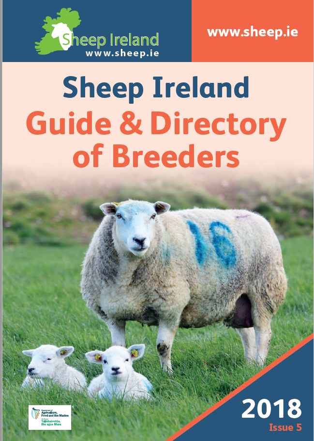 Read more about the article Sheep Ireland Guide & Directory of Breeders Issue 5