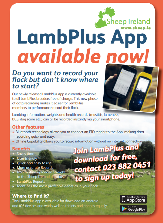 Read more about the article Get your 2019 Season Off to a Good Start with the LambPlus App