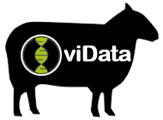 Read more about the article OviData – New EIP project involving Sheep Ireland