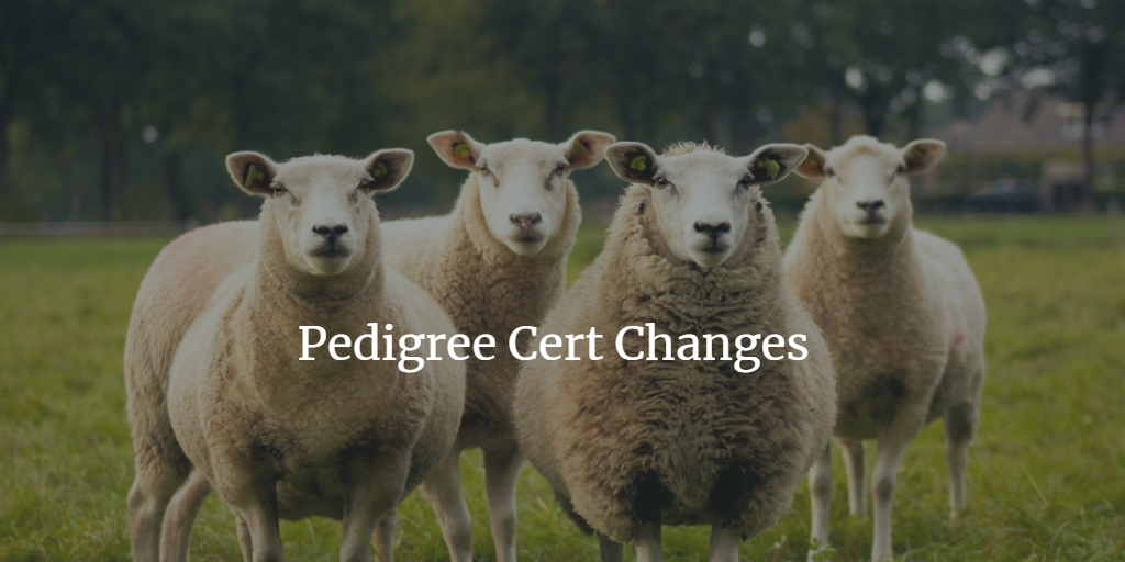Read more about the article Updated Pedigree Certs soon to be released