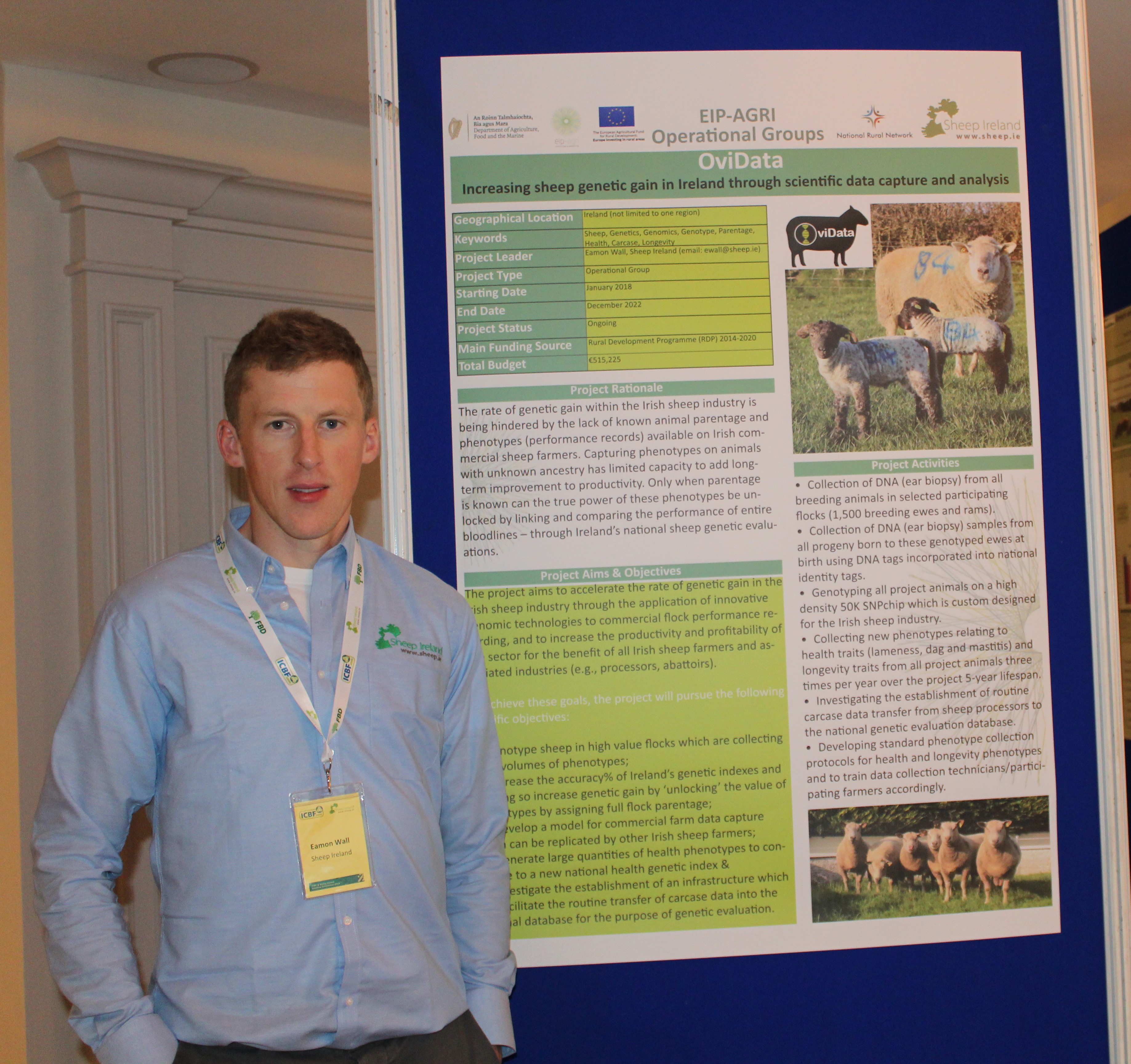 Read more about the article Sheep Ireland’s continuing research with the OviData project
