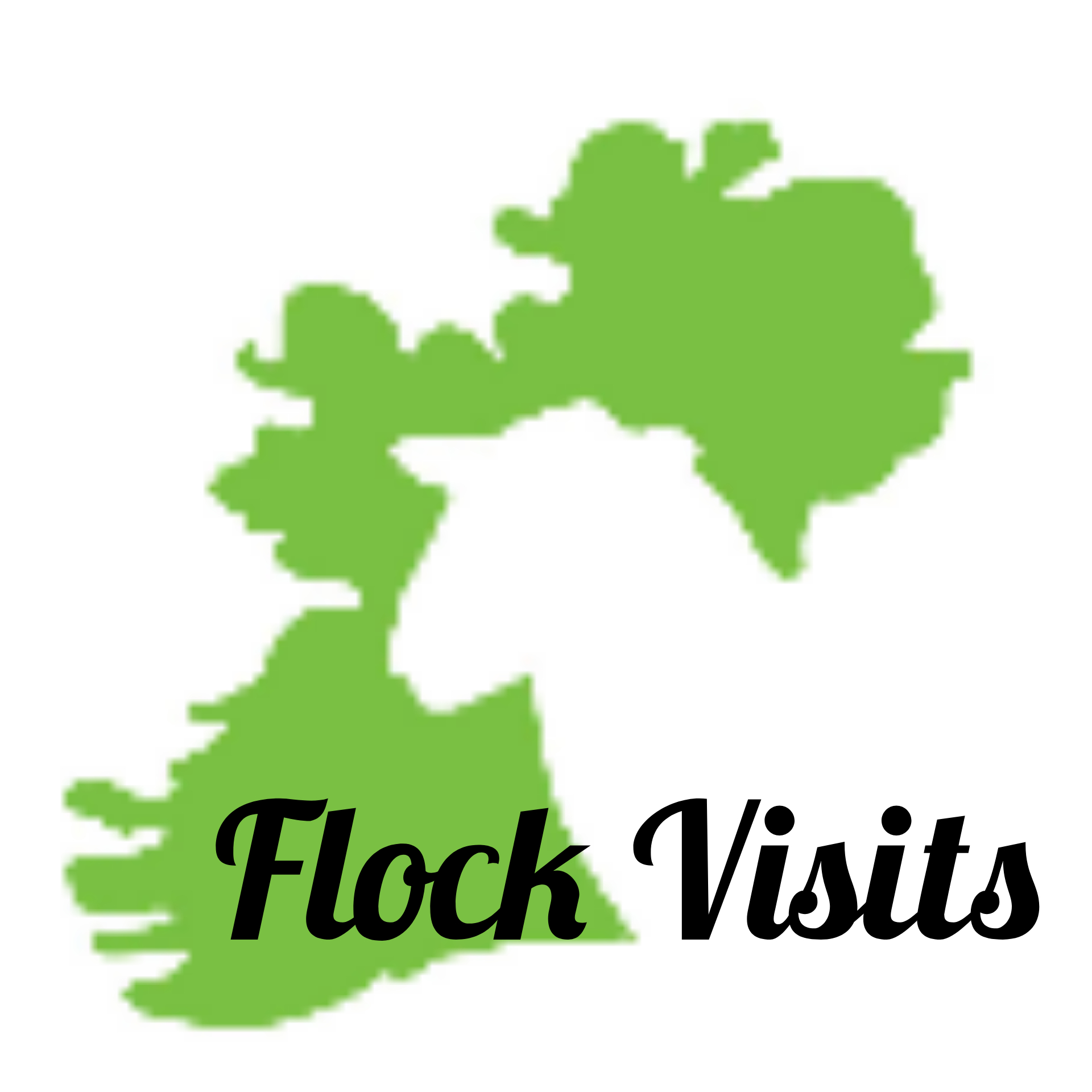You are currently viewing Flock Visits 2020 off to a flying start!!