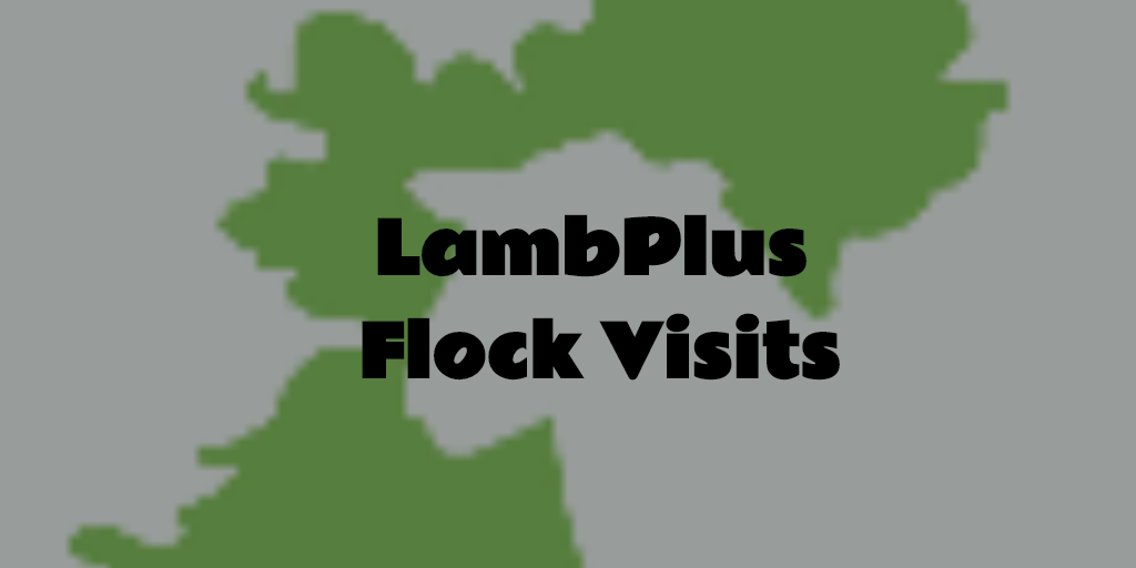 Read more about the article Sheep Ireland Flock Visits to all LambPlus Members