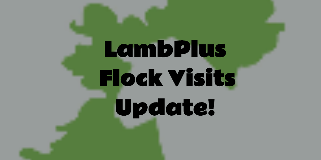 Read more about the article LambPlus Flock Visit Update!