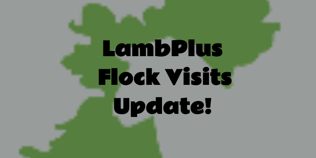 You are currently viewing LambPlus Flock Visit Update!