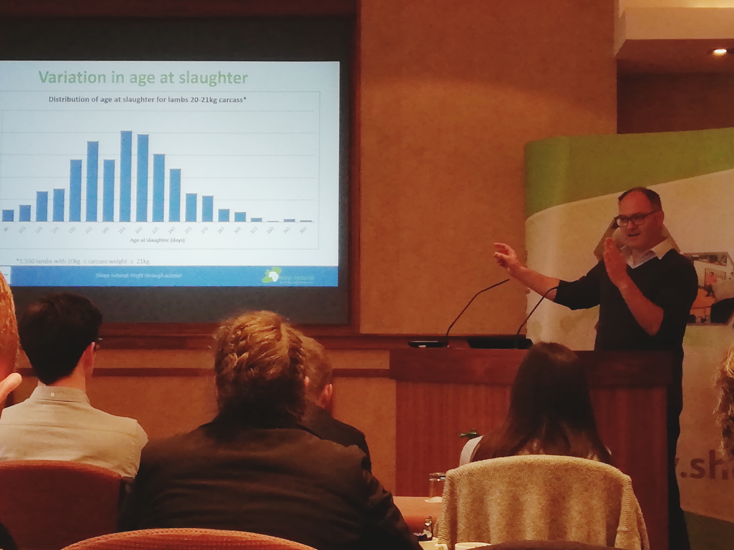 You are currently viewing Carcass data and Across-breed now a reality in the Sheep Ireland Genetic Evaluations