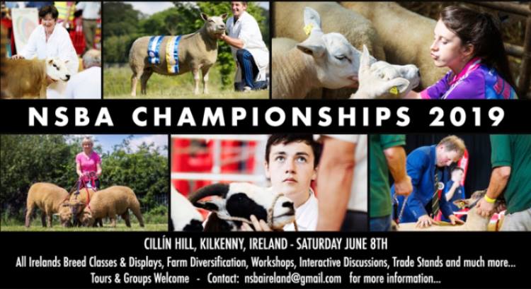 Read more about the article Sheep Ireland Attended the Launch of NSBA Red Mills Sheep Championships 2019