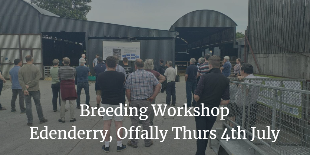 You are currently viewing First of Summer Breeding Workshops held in County Offaly