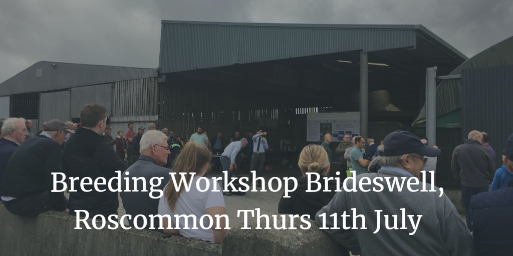 You are currently viewing Breeding Workshop Brideswell, Roscommon Thurs 11th July