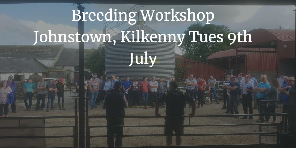 You are currently viewing Breeding Workshop Johnstown, Kilkenny Tues 9th July