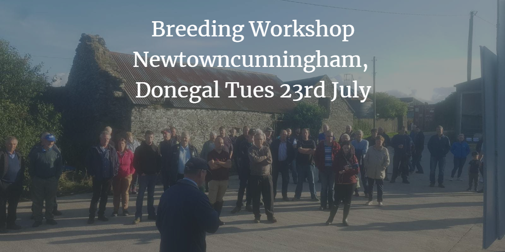 Read more about the article Breeding Workshop Newtowncunningham, Donegal Tues 23rd July