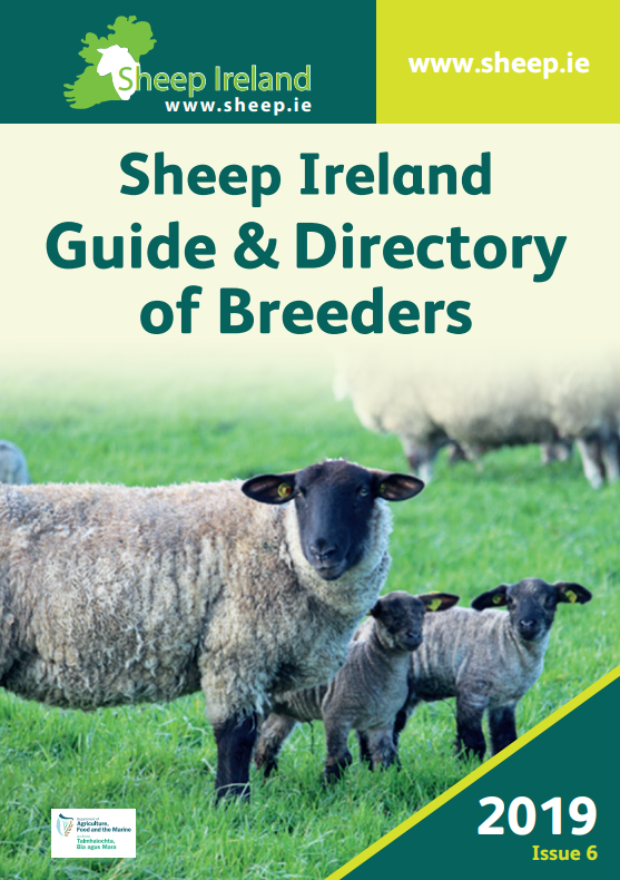 Sheep Ireland Guide & Directory of Breeders 2019 Issue 6 - Sheep Ireland