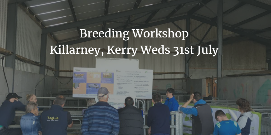 Read more about the article Breeding Workshop, Killarney, Kerry, Weds 31st July