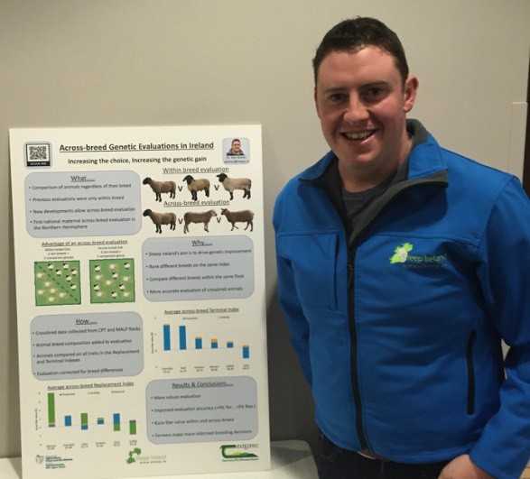 Read more about the article Across-breed genetic evaluations in Ireland – Increasing the choice, increasing the genetic gain