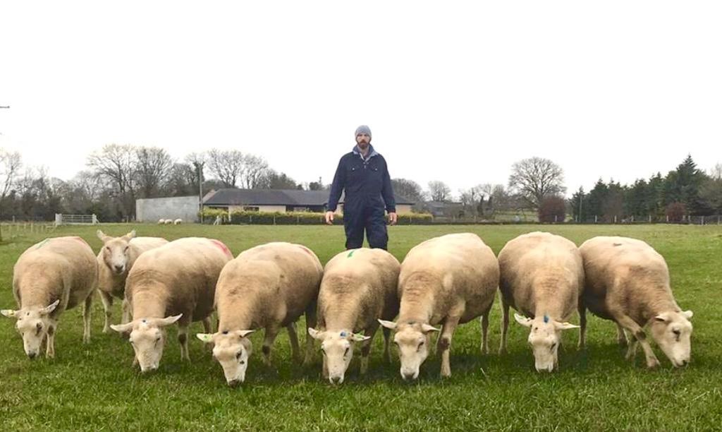 Read more about the article Second Nominee for the Highest Achieving LambPlus Flock 2019 – Eoghan Barrett – Alloon Belclares (BE)