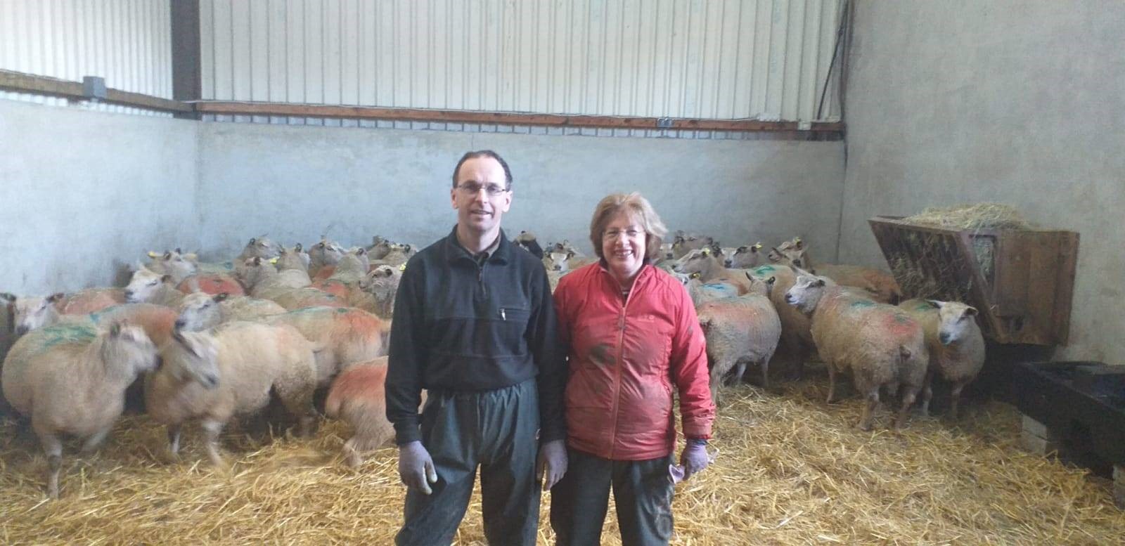 Read more about the article Fourth Nominee for Most Improved LambPlus Flock 2019 – Maria Philpott – Duhallow Charollais (C62)