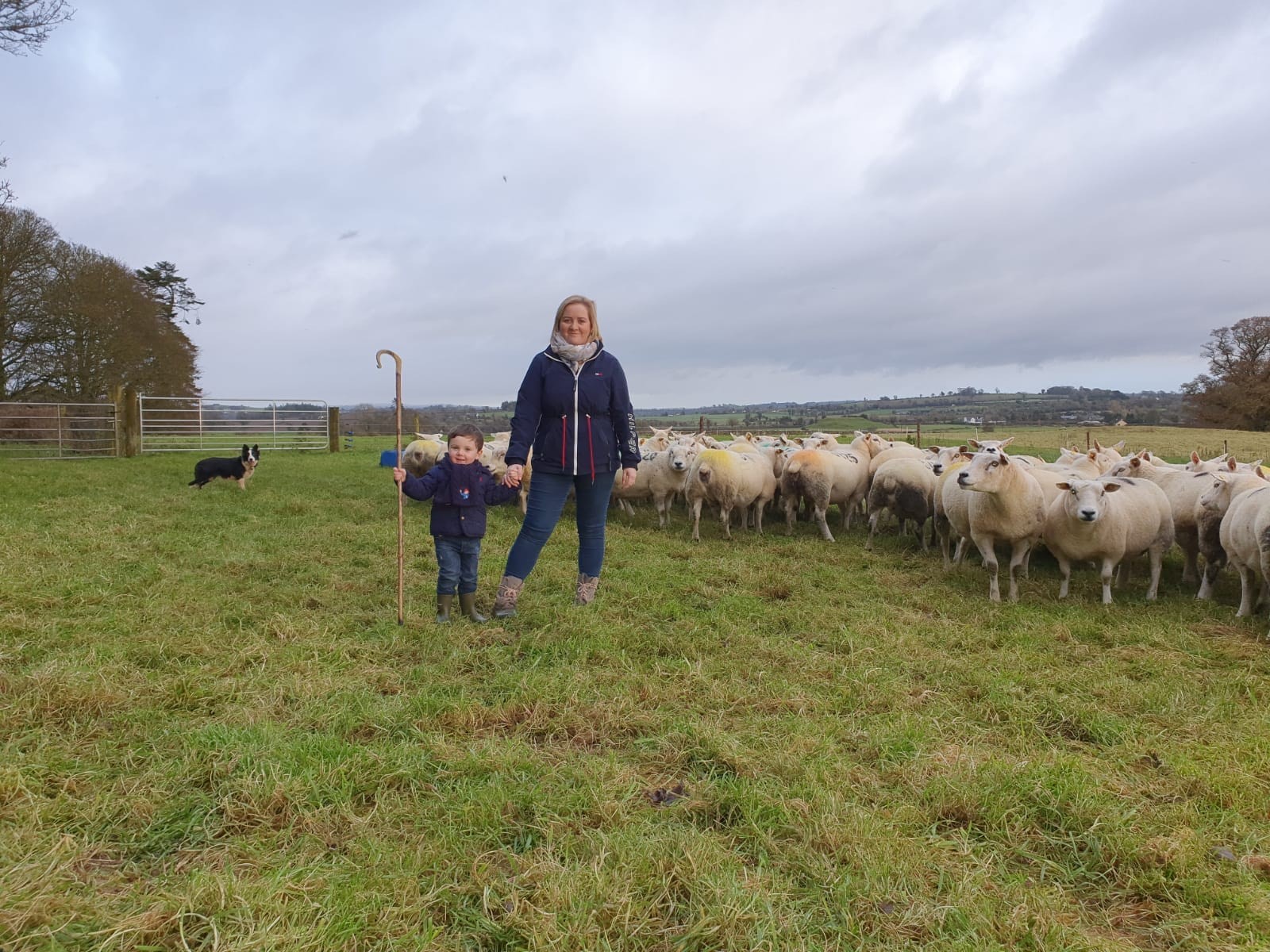 Second Nominee for Most improved LambPlus flock 2019 –  Ornaith Clarke – Trojan Texels (OCE)