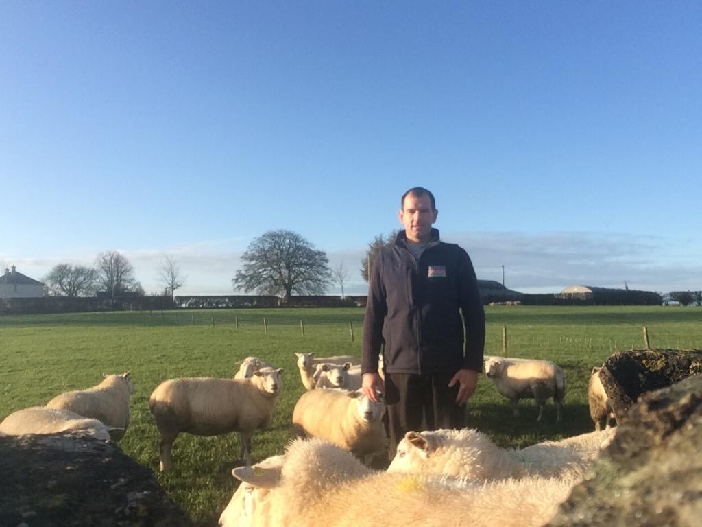 Read more about the article First Nominee for Highest Achieving LambPlus Flock 2019 – John Renehan – Violet Hill Belclares (JR)