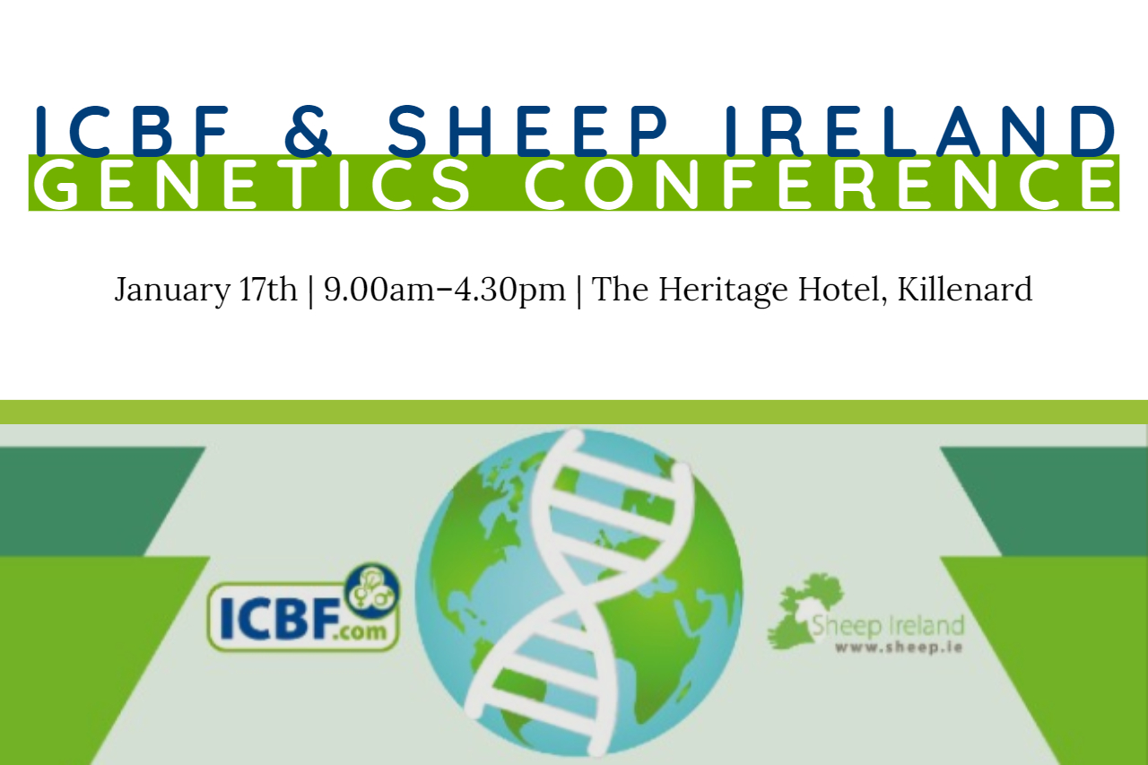 Read more about the article Last Chance to buy Tickets for the ICBF and Sheep Ireland Genetics Conference!!