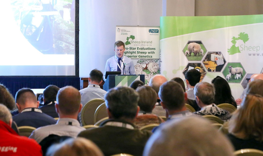 Read more about the article What can we glean from commercial flock data recording? – Eamon Wall, Sheep Ireland & OviData