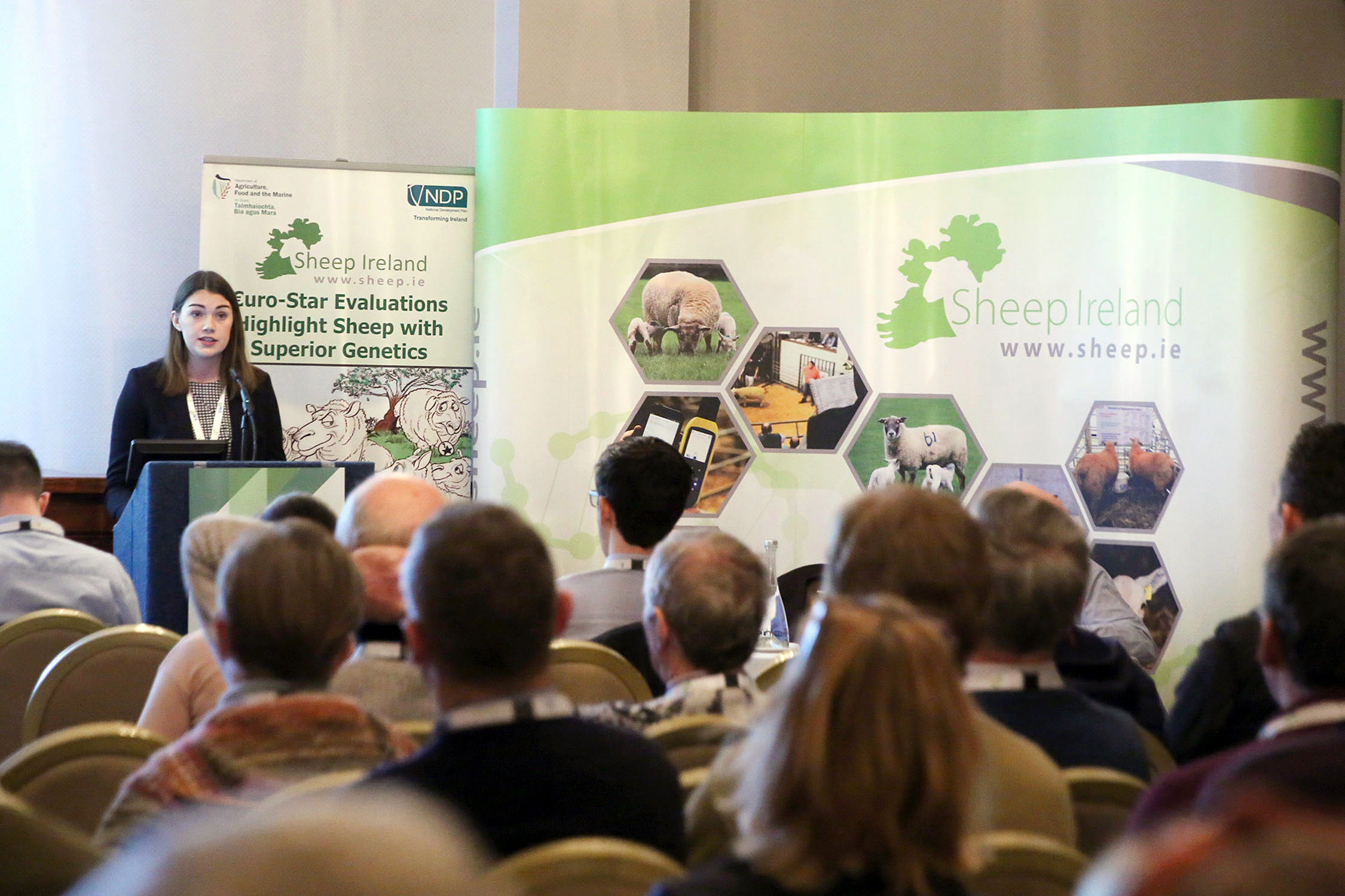 Read more about the article “Making life easier at the busiest time”, Dr. Aine O’Brien, Teagasc speaks at the ICBF and Sheep Ireland Genetics Conference 2020