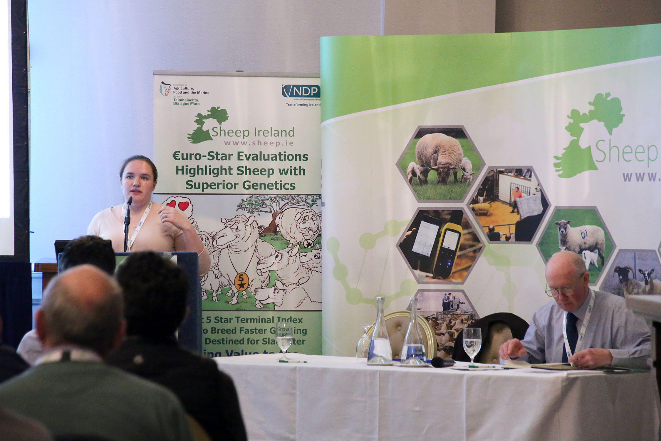 Read more about the article “How many lambs is too many?” – Dr. Nóirín McHugh, Teagasc